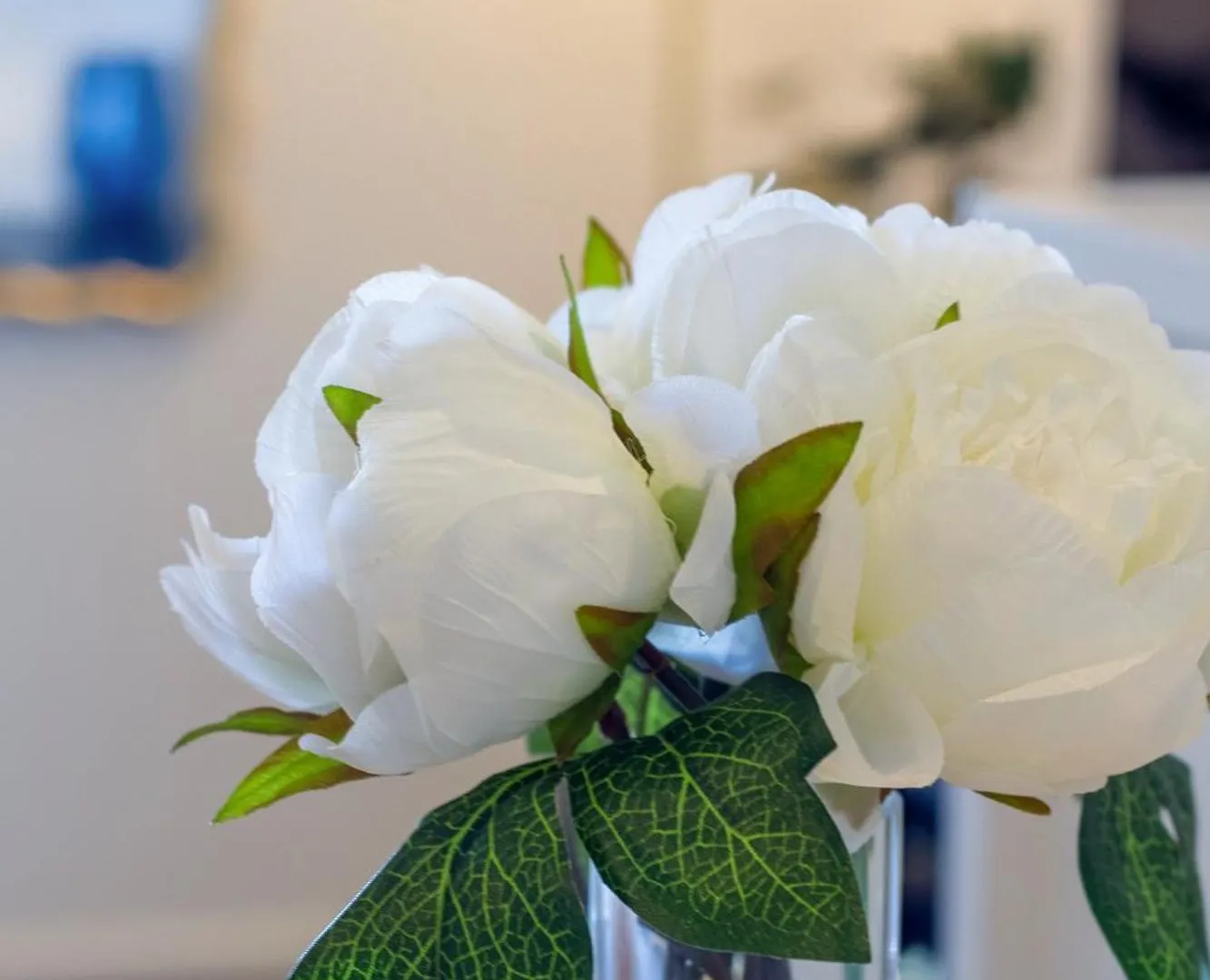 Explore From 8 Wilmer: Upper Level Cozy Studio Christchurch