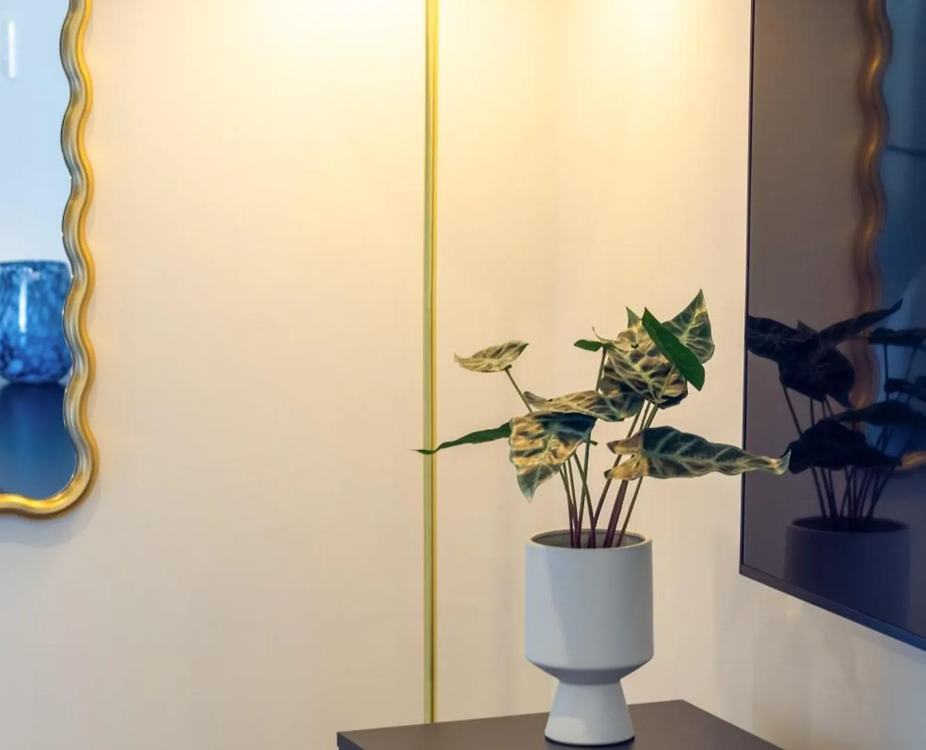 Explore From 8 Wilmer: Upper Level Cozy Studio Christchurch Apartment