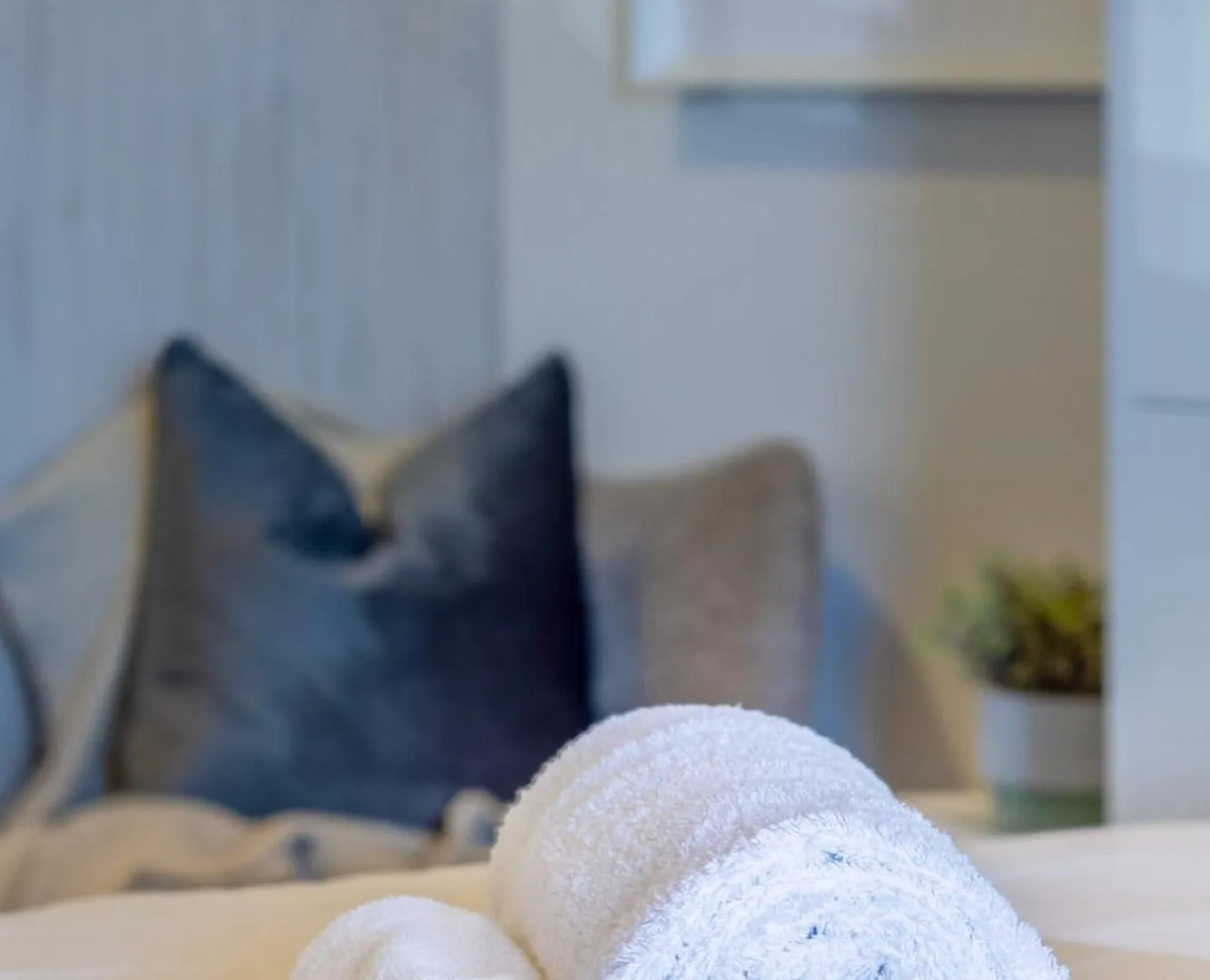 Explore From 8 Wilmer: Upper Level Cozy Studio Christchurch Apartment